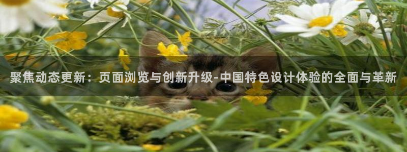 永盈旧版app