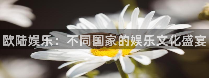 永盈平台登录网址