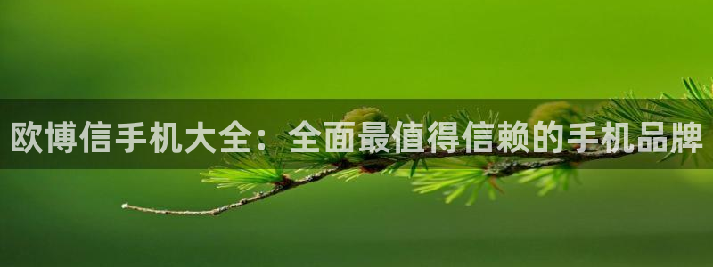 众拓永盈