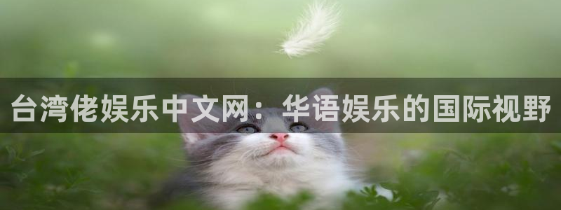 科锦永盈
