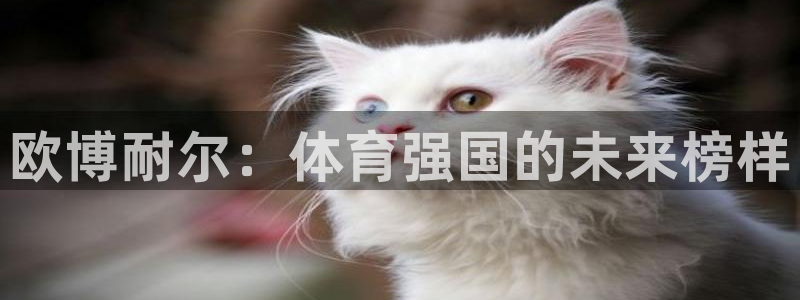 永盈快三 永盈快三导师