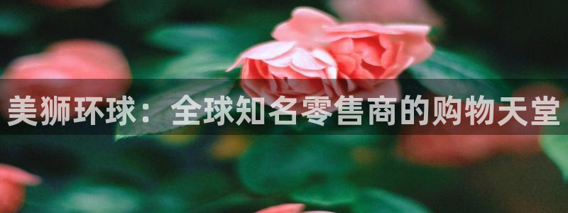 永盈官网网址多少