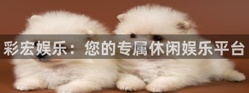 永盈棋牌69066mooc