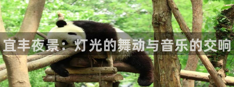 佛山永盈陶瓷有限公司