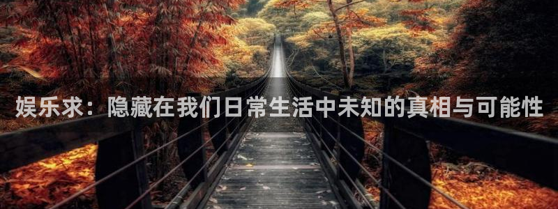 永盈官网网址多少