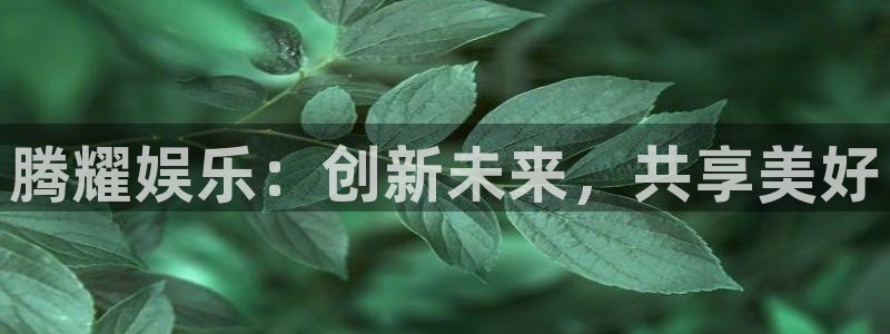 鼎世永盈1号