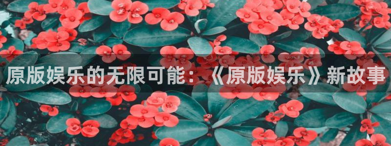 永盈平台登录网址