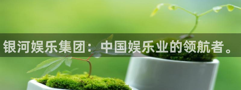 东莞市永盈玩具科技有限公司