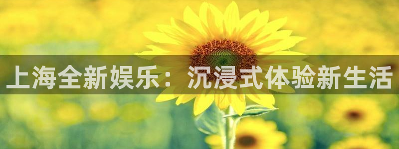 诚达永盈：上海全新娱乐：沉浸式体验新生活