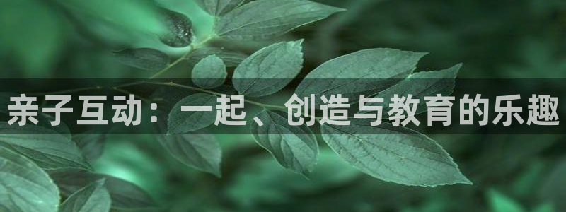 69066永盈：亲子互动：一起、创造与教育的乐趣