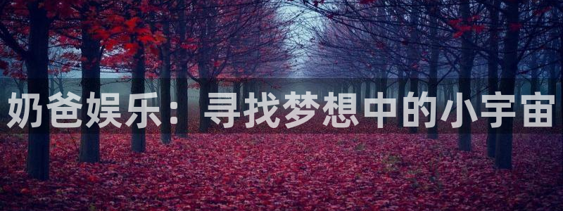 永盈棋牌69066mooc：奶爸娱乐：寻找梦想中的小宇宙