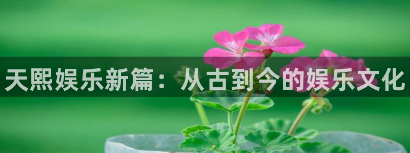 永盈陶瓷有限公司：天熙娱乐新篇：从古到今的娱乐文化