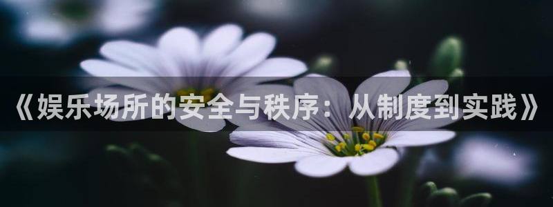 佛山市永盈陶瓷有限公司：《娱乐场所的安全与秩序：从制度到实践》