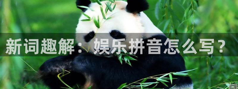 永盈棋牌69066：新词趣解：娱乐拼音怎么写？
