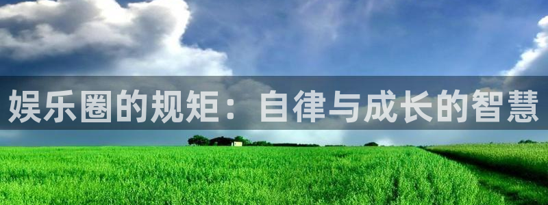 诚达永盈：娱乐圈的规矩：自律与成长的智慧